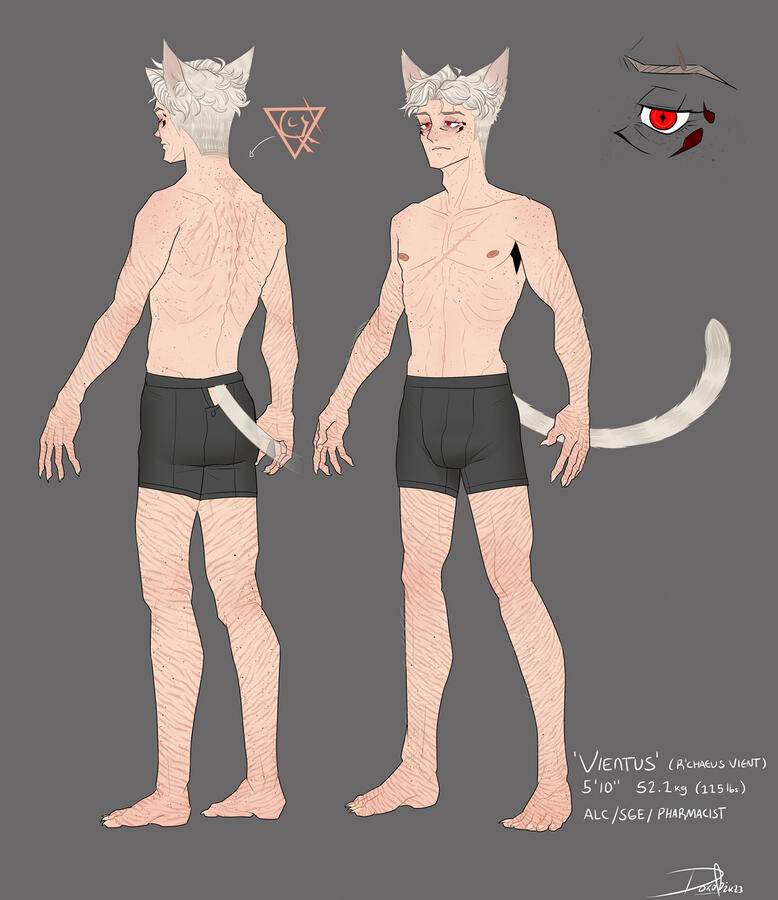 Chaeus Reference Sheet
